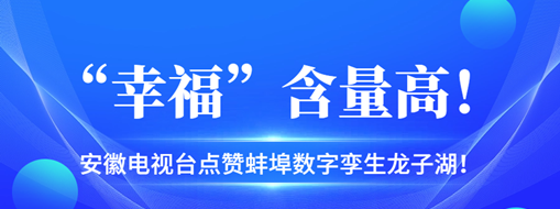 ?“幸福”含量高，安徽電視臺點贊蚌埠數(shù)字孿生龍子湖！